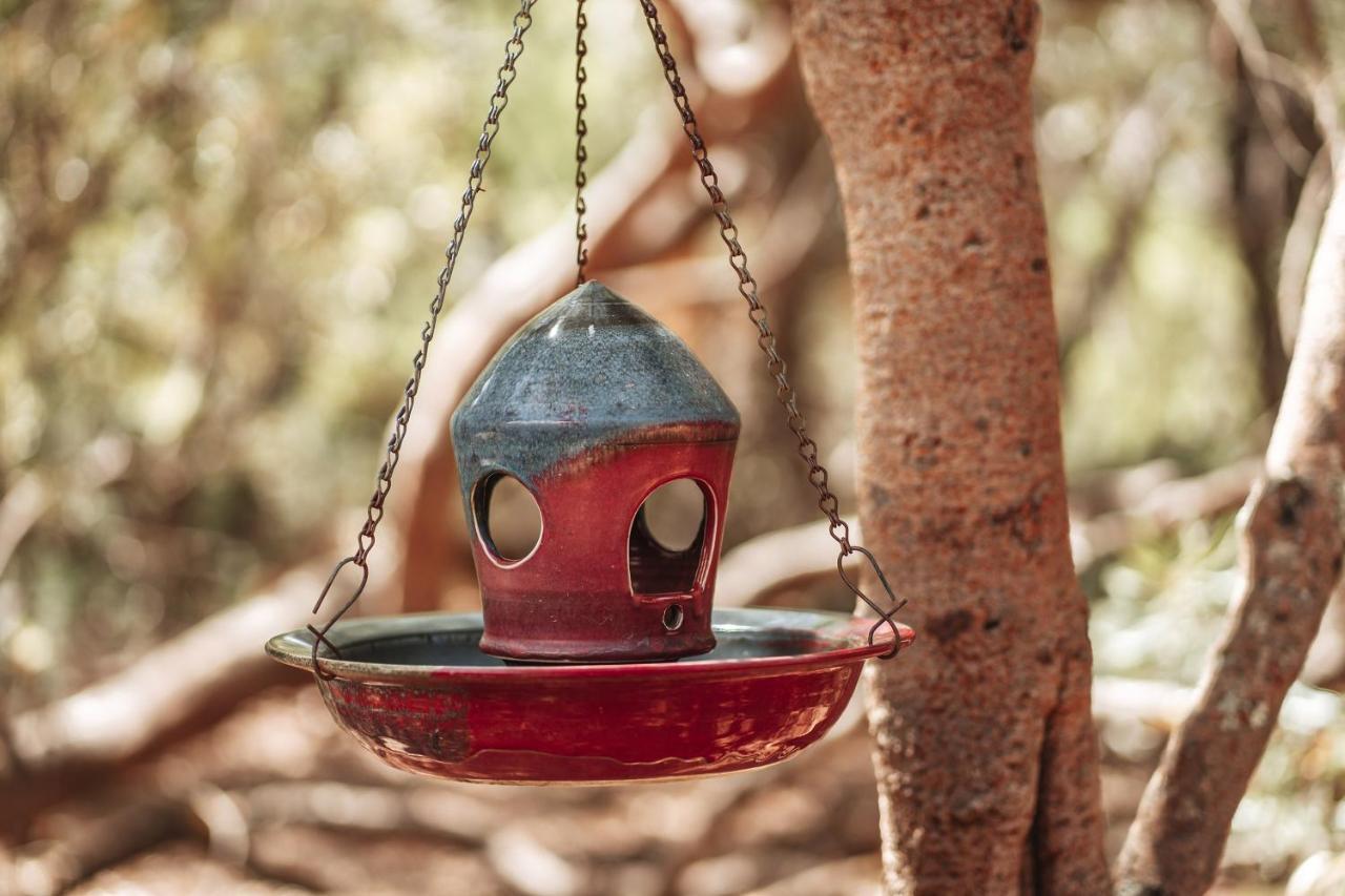 Bussells Bushland Cottages Margaret River Екстериор снимка