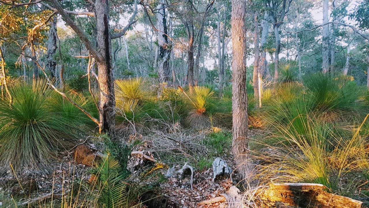 Bussells Bushland Cottages Margaret River Екстериор снимка