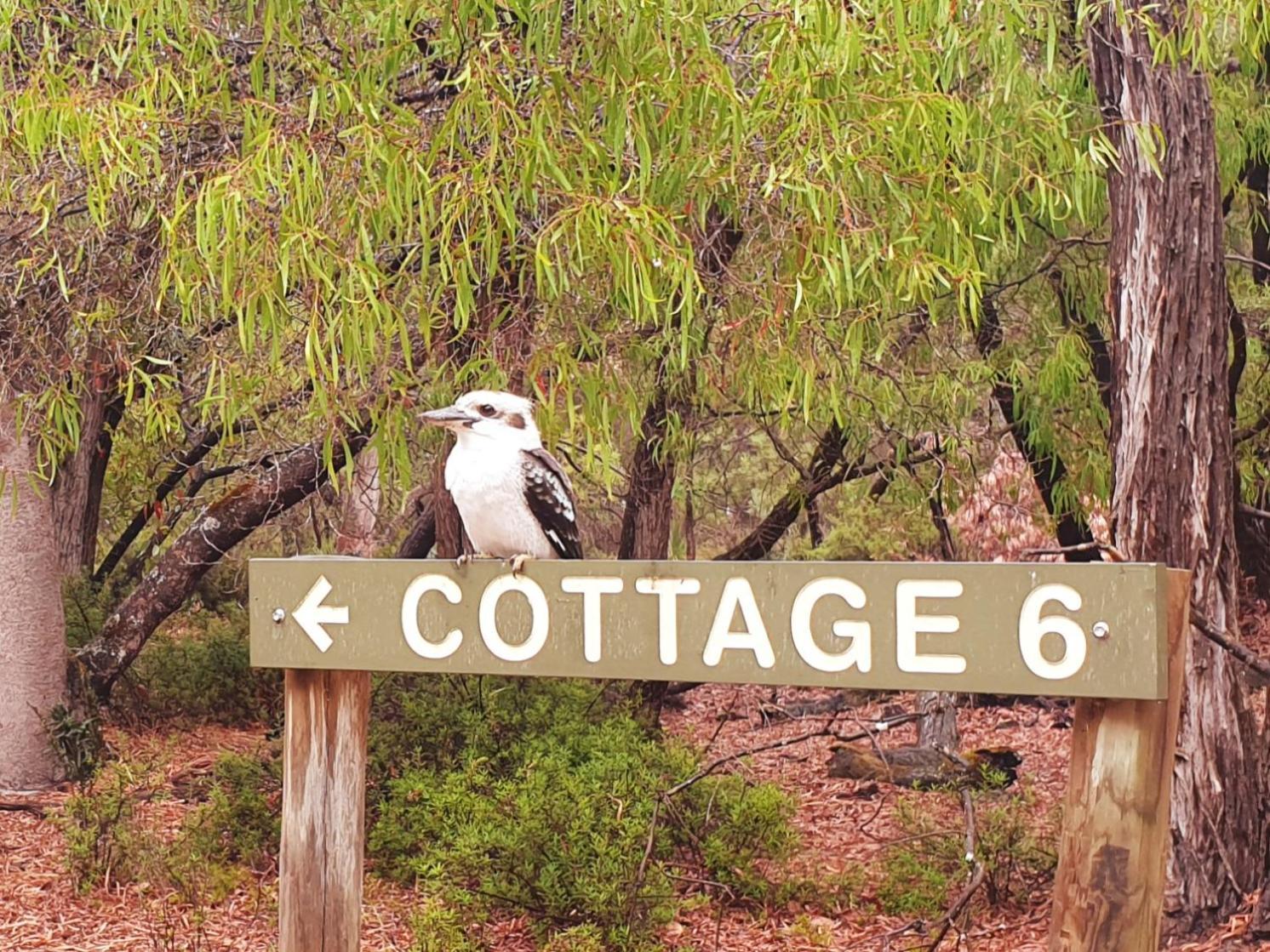 Bussells Bushland Cottages Margaret River Екстериор снимка